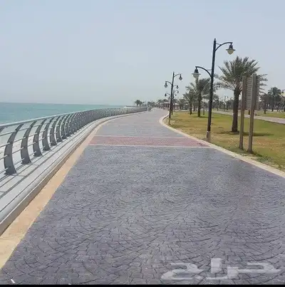 صبة مروحة صبة ميزانيةصبة مطبوع سقف ورشة مستودعة محطة عمارة م 3