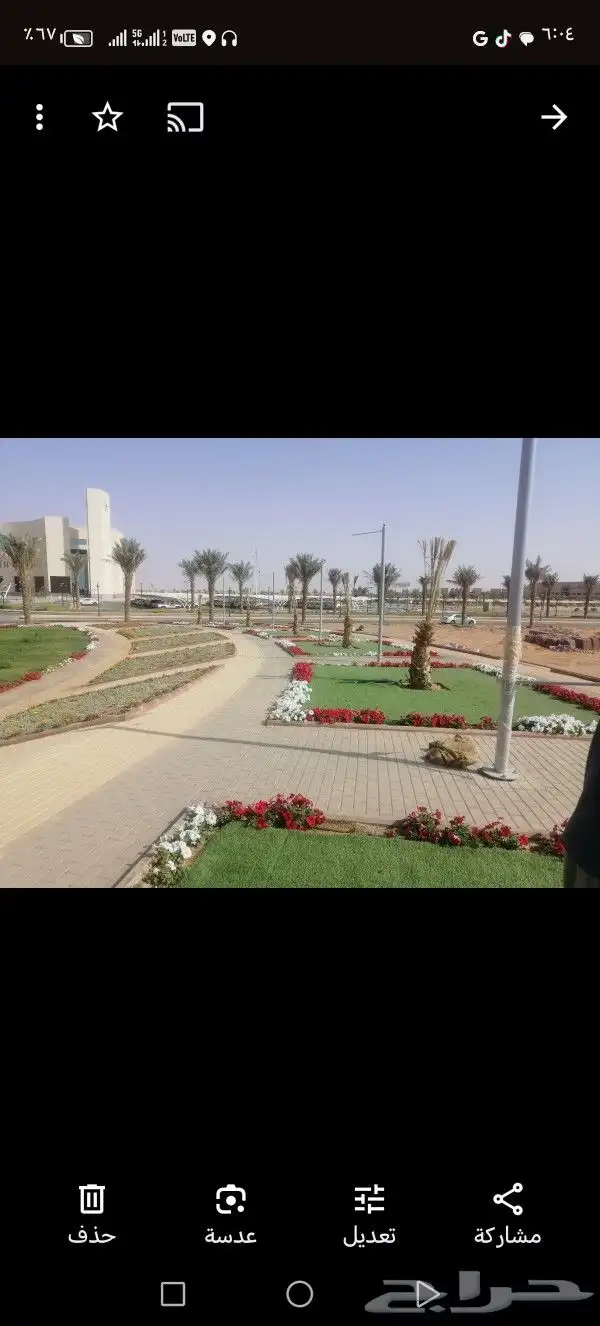 ثيل طبيعي عشب طبيعي 7