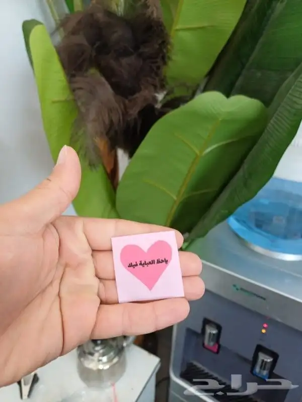 مطابع مطبعة مطبوعات طباعة بوكسات استكر ليبل بروش ورقيات ختم 8