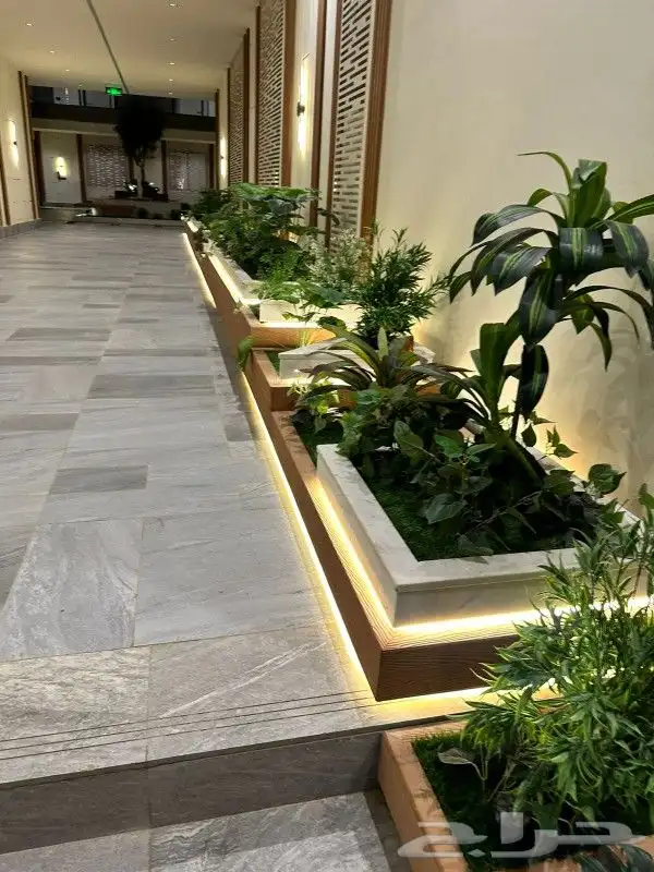 اشجار وورود طبيعيه للبيع 0