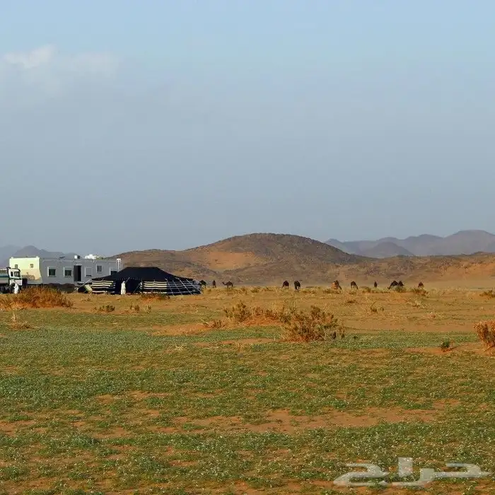 خيام وبيوت شعر فك تركيب نقل ترميم تلبيس 2