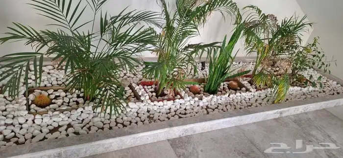 مقاول تشطيب وتسليم مفتاح 0