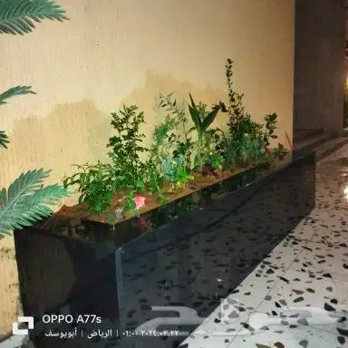 تنسيق حدائق 2