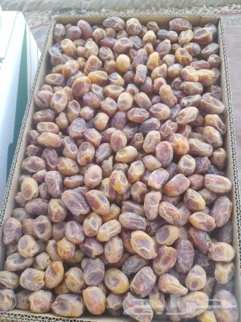 تمور بجميع انواعها وكميات كبيره 9