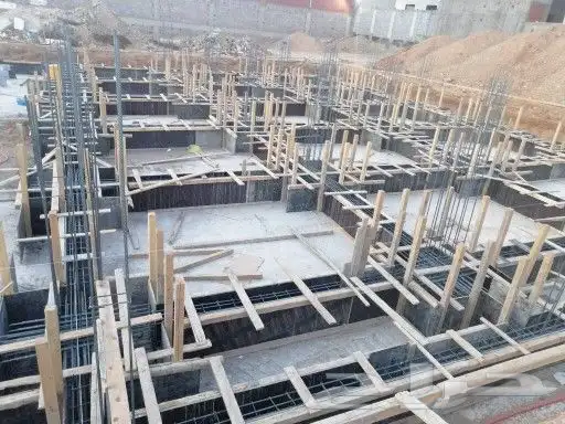 مقولات عامة 5