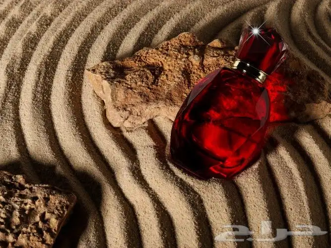 تصوير أطعمة ومنتجات 39