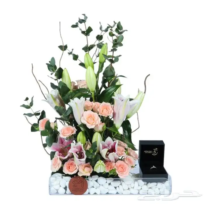 تصوير أطعمة ومنتجات 8