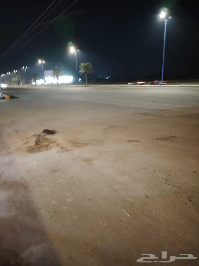 بوفية كافي لتقبيل 2