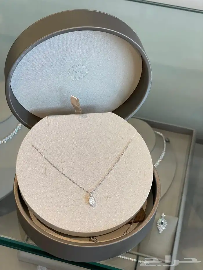 مندوب توصيل هدايا الرياض 3