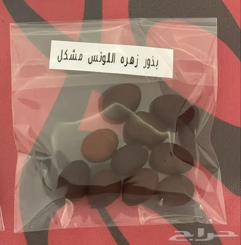 نباتات زينه نباتات برك نباتات احواض اسماك الزينه 5