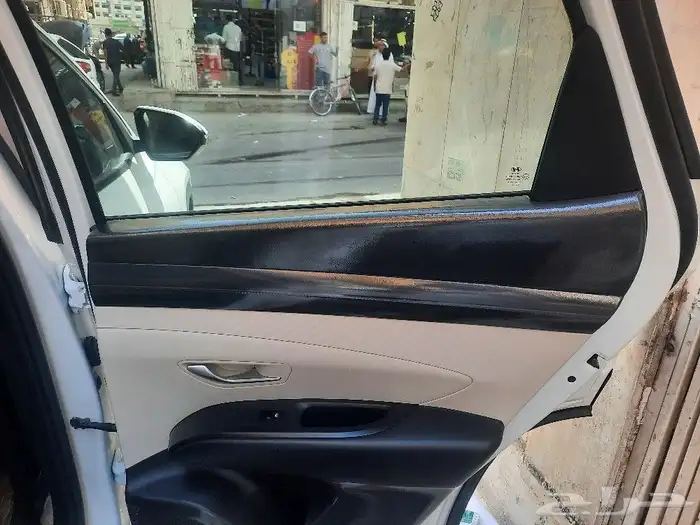 حمايه شفاف ديكور ابواب 9