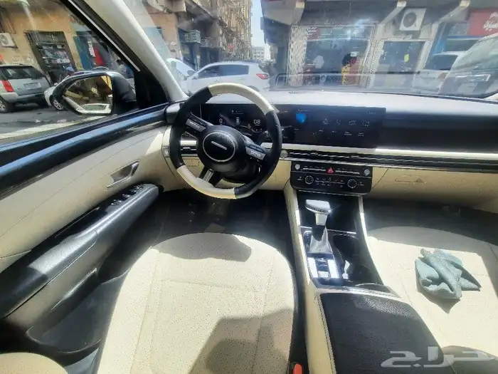 حمايه شفاف ديكور ابواب 4