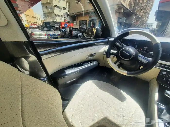 حمايه شفاف ديكور ابواب 5