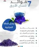 شاي ازرق شاي زهرة فراشة البازلا الأزرق البنفسجي 10