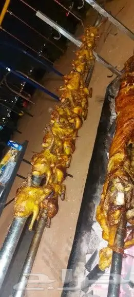 مطعم الخير يقدم خروف سيخ على الجمر 1 خروف مشوي   2   دجاج مش 8