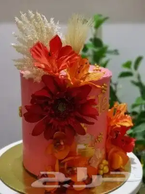 كيك 6