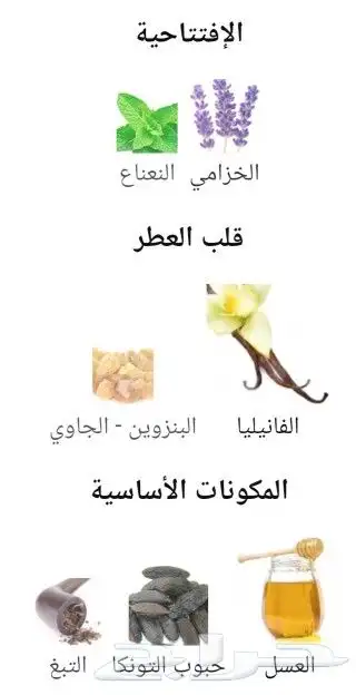 عطرلي ميل لي بارفيوم و جان بول غولتيرلومال اليكسيرحجم125ملي 1