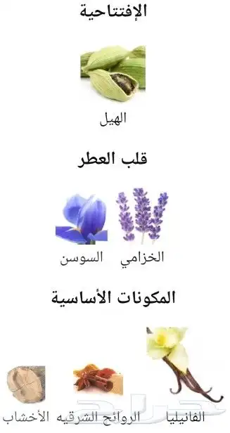 عطرلي ميل لي بارفيوم و جان بول غولتيرلومال اليكسيرحجم125ملي 3