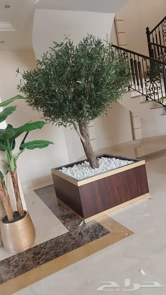 اشجار زيتون صناعي 7
