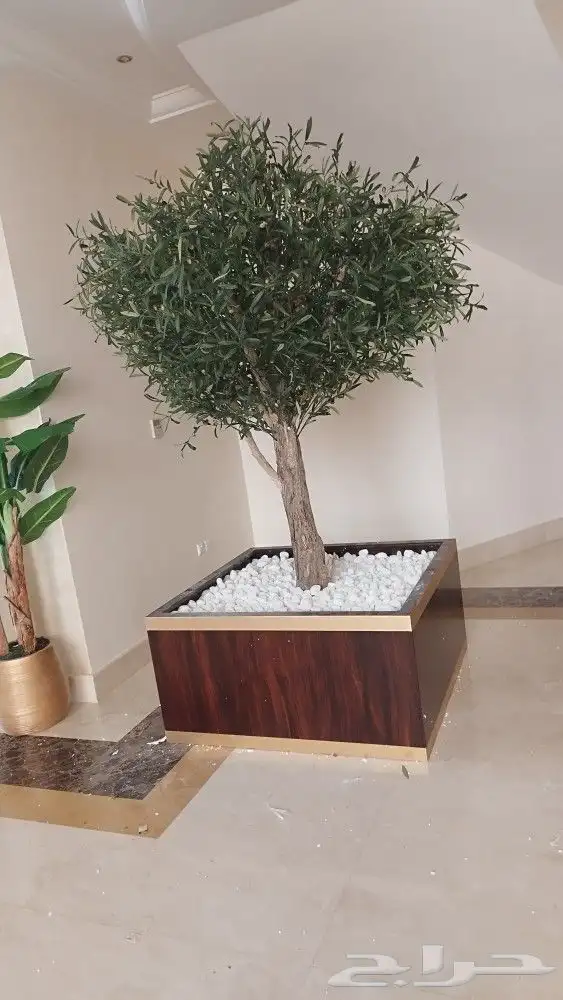 اشجار زيتون صناعي 8