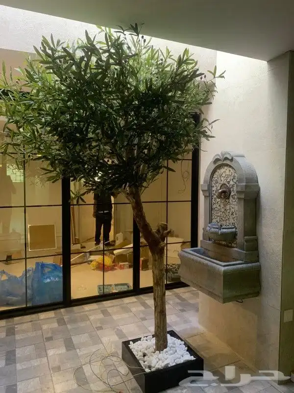 اشجار زيتون صناعي 6
