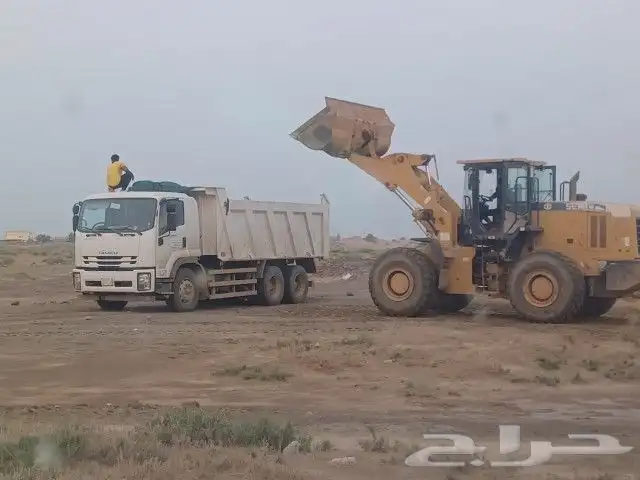 شيول صيني 2020 0