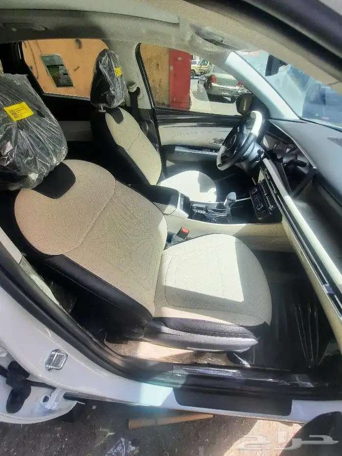 حمايه شفاف ديكور ابواب 0