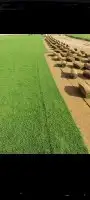 توريد وتركيب الثيل الطبيعي 17