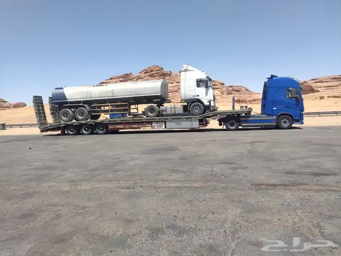 لوبدفي طريف 0