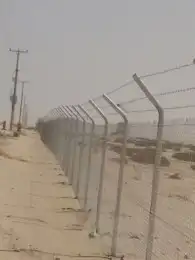 زراعه نخيل 0
