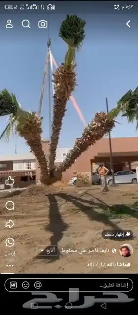 مقاول شبوك مزارع ونخيل عربي توريد وتركيب الشرقيه 0