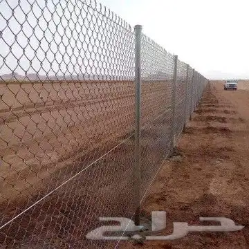 فسايل مثمر بجميع انواعها ونخيل كيير 4