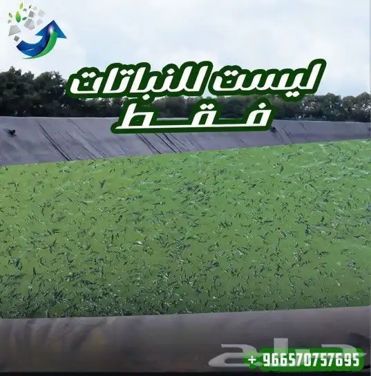 بحيرات لتجميع المياه احواض زراعية احواض سمك 5