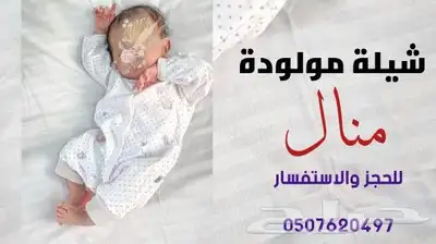 شيلات لكل المناسبات لطلب لطلب التواصل واتساب اب 11