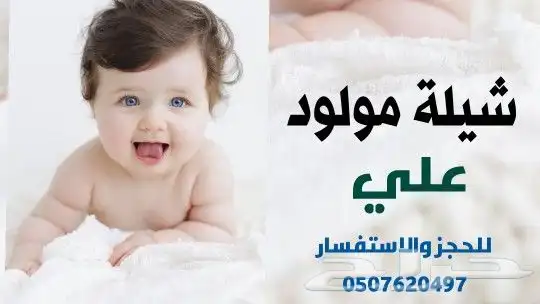 شيلات لكل المناسبات لطلب لطلب التواصل واتساب اب 10