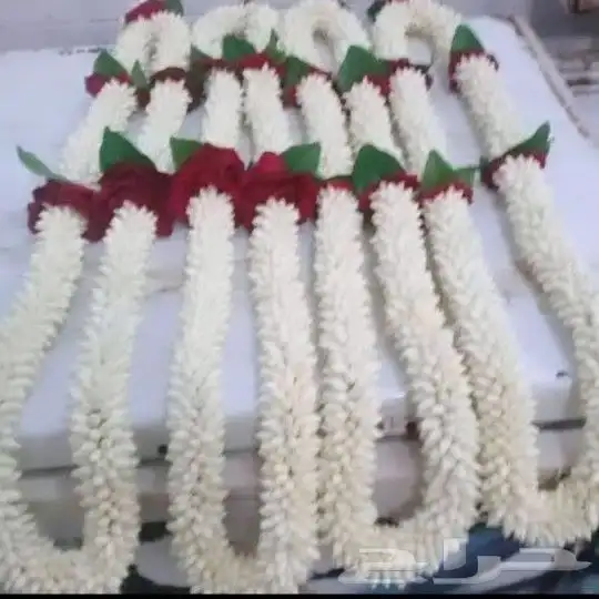 محل_فل_الفيصليه_الرياض 7