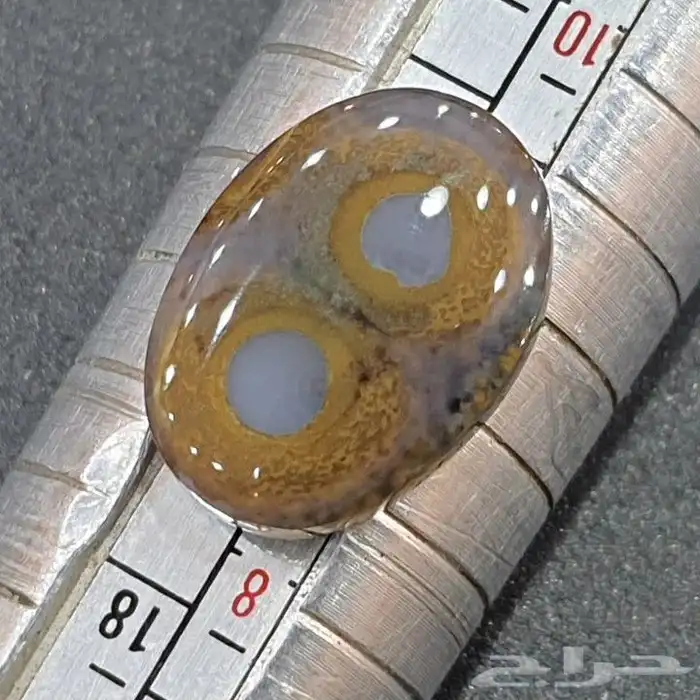 حجرة من اندر النوادر 3