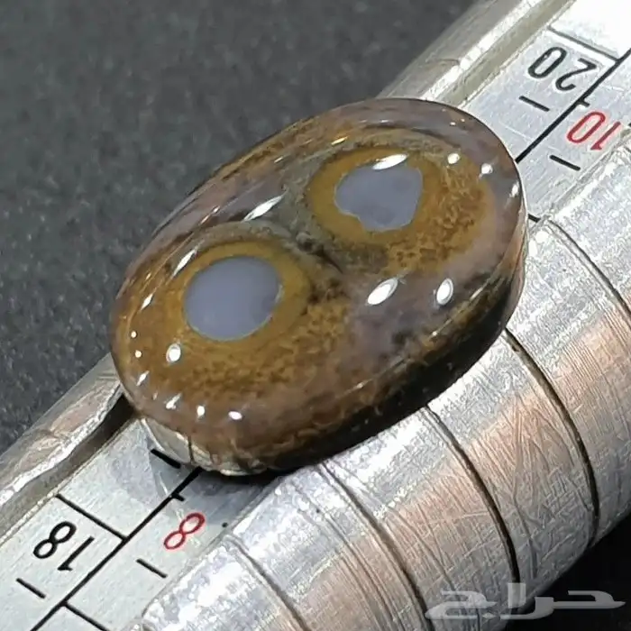 حجرة من اندر النوادر 2