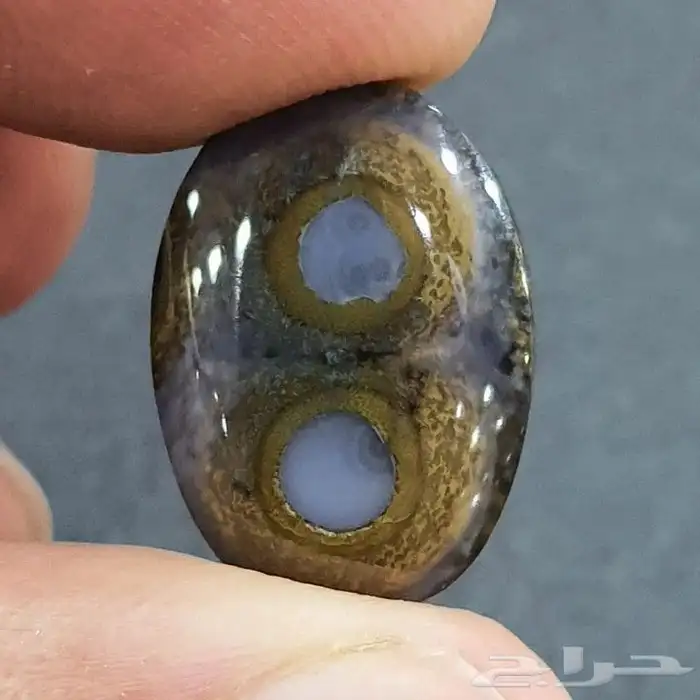 حجرة من اندر النوادر 1