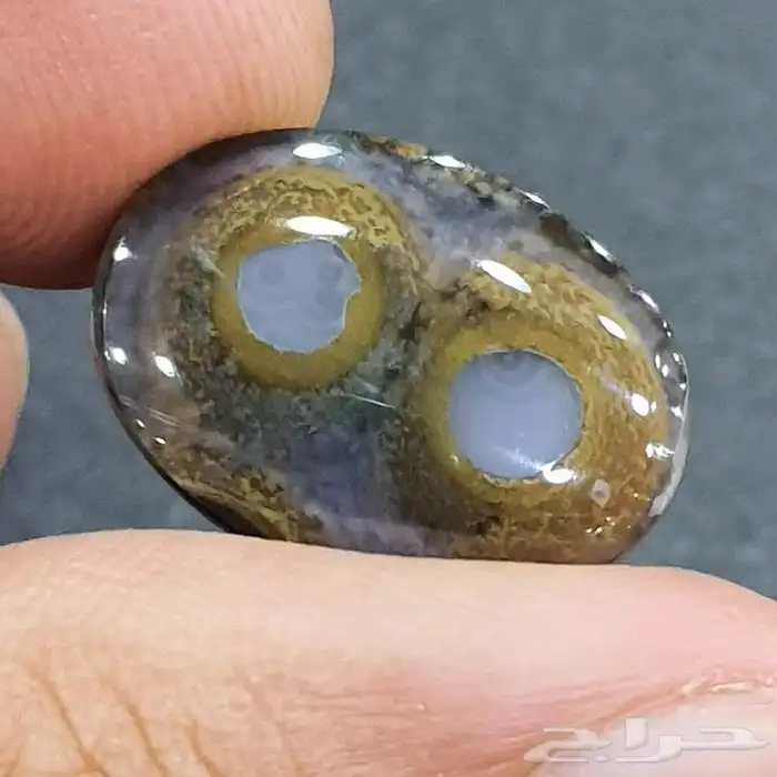 حجرة من اندر النوادر 0