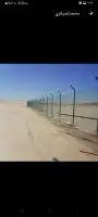 فسايل مثمر بجميع انواعها ونخيل كيير 5