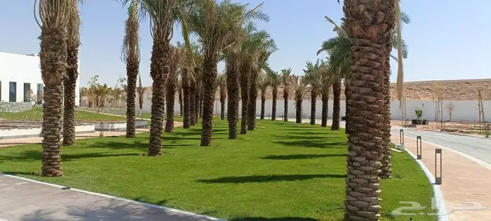 المهندس للمستقبل الأخضر 0