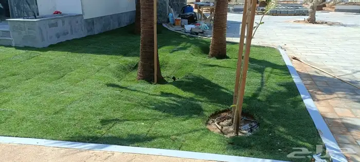 المهندس للمستقبل الأخضر 2