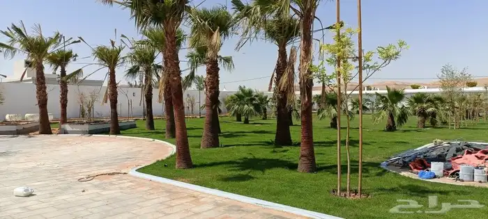 المهندس للمستقبل الأخضر 3