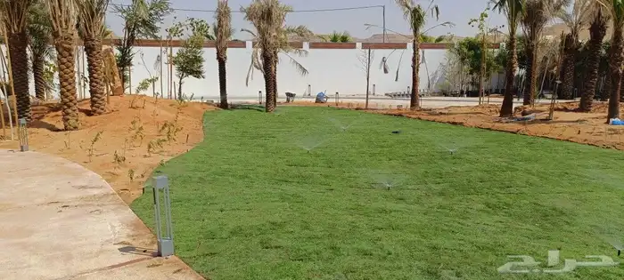 المهندس للمستقبل الأخضر 5