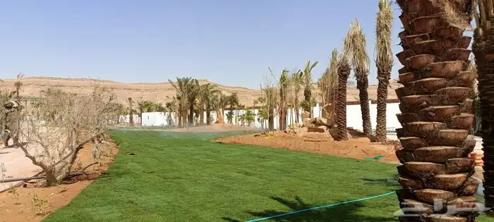 المهندس للمستقبل الأخضر 8