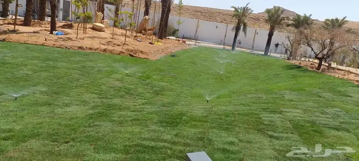 المهندس للمستقبل الأخضر 6