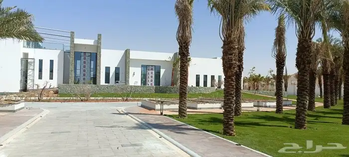 المهندس للمستقبل الأخضر 1