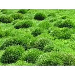 توريد وتركيب الزراعه الطبيعى 7
