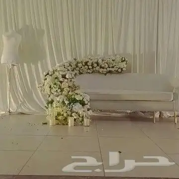 كوش_الجوف  الجوف_بلازا  صوير_هديب_الرفيعه_اللقايط_زلوم_اللق 4